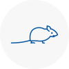 Mice Exterminators In Barnet